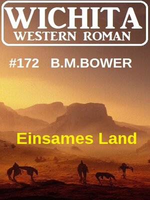 cover image of Einsames Land